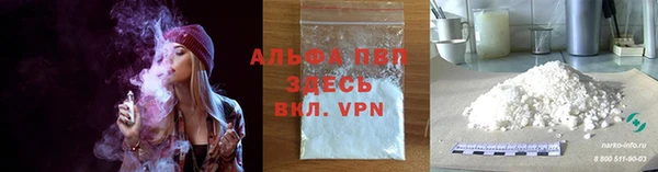 PSILOCYBIN Верхний Тагил