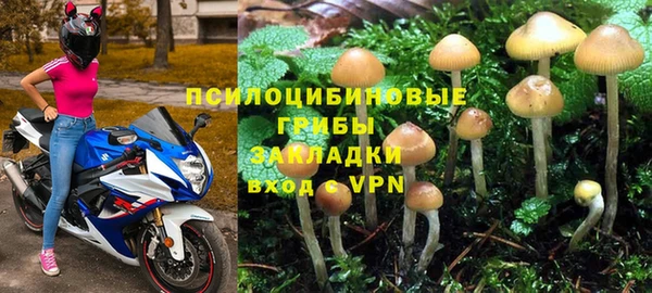 соль ск Волосово